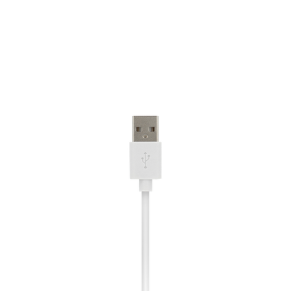 VisionTek.com - VisionTek Lightning to USB Cable | 6.6 feet (2m) | MFi Certified | Charge & Sync | USB - A to Lightning | Compatible with iPhone, iPad & iPod Devices